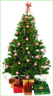 Reuse Your Christmas Tree As Food